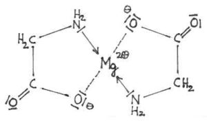 Magnesiumglycinat Chelat Komplex