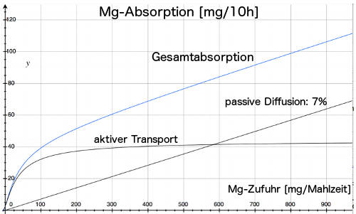Mg-Absorption 10h